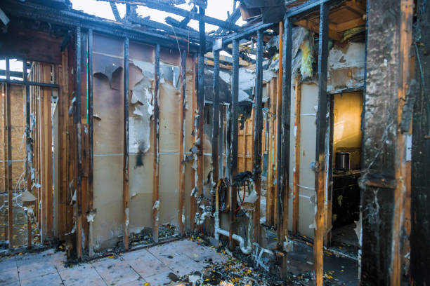 Professional Smoke Damage Removal technician working in Germantown, MD